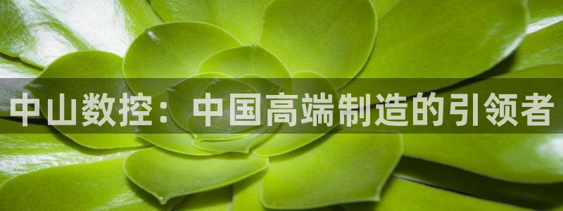 天辰娱乐集团