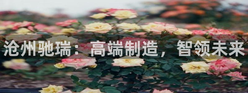 天辰娱乐会员