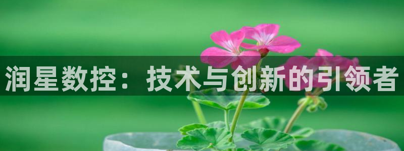 天辰娱乐欢乐
