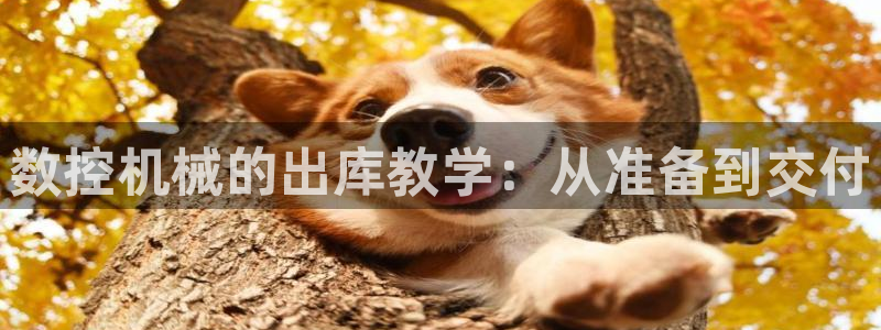 天辰 娱乐