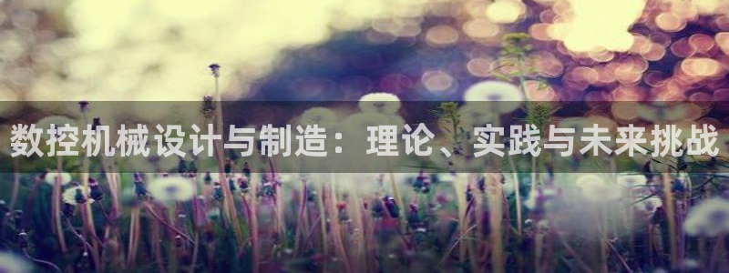 天辰彩票娱乐