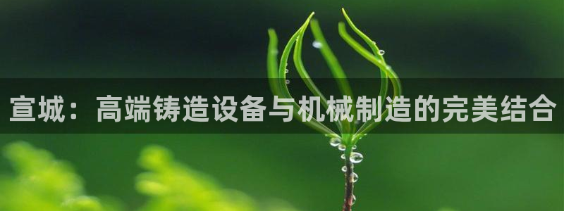 nba天辰娱乐：宣城：高端铸造设备与机械制造的完美结合