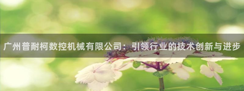 天辰娱乐在哪：广州普耐柯数控机械有限公司：引领行业的技术创新与进步