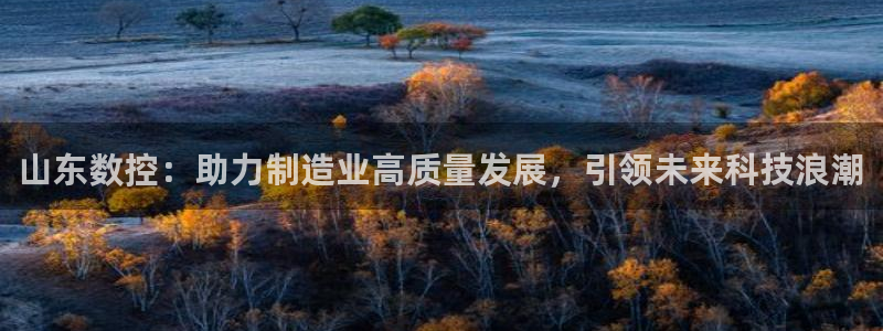 广东天辰娱乐：山东数控：助力制造业高质量发展，引领未来科技浪潮