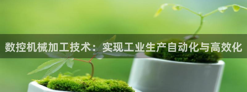 天辰娱乐股票