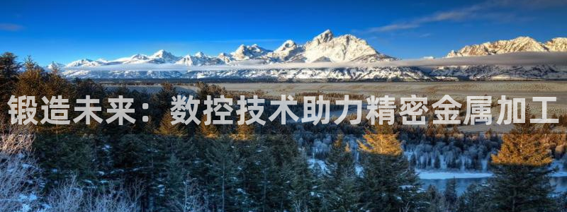 天辰娱乐待遇：锻造未来：数控技术助力精密金属加工