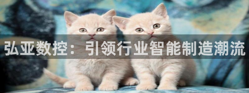 天辰娱乐元宝：弘亚数控：引领行业智能制造潮流