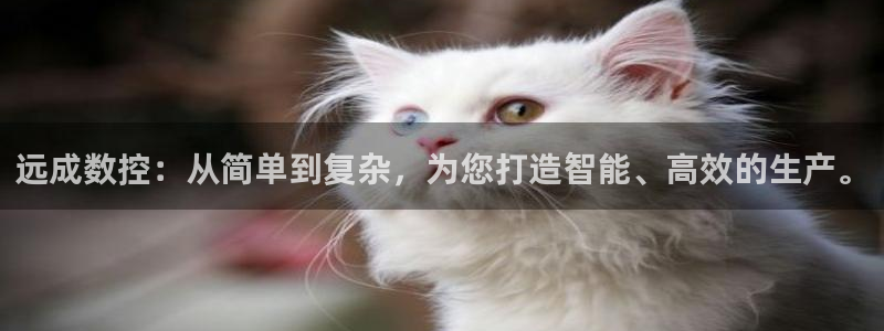 天辰娱乐官网平台下载