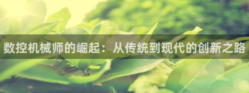 天辰娱乐指尖所：数控机械师的崛起：从传统到现代的创新之路