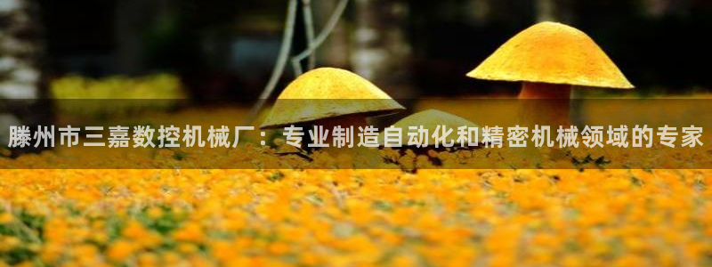 天辰娱乐待遇