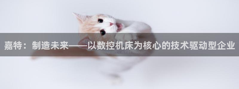 天辰娱乐39974神:嘉特:制造未来——以数控机床为核心的技术驱动型企业
