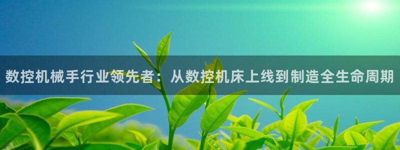 天辰娱乐 . 鱼刺