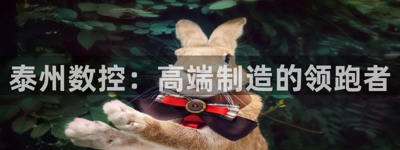 天辰娱乐平台安全吗：泰州数控：高端制造的领跑者
