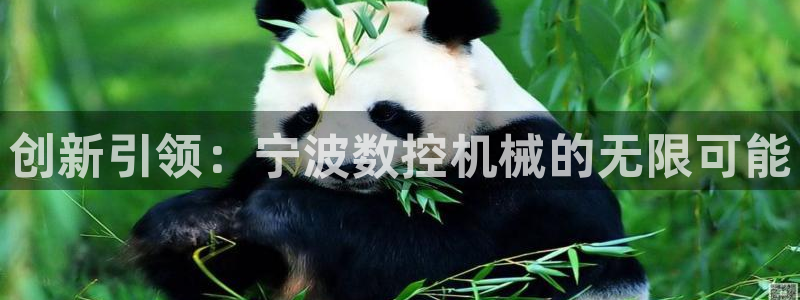 天辰娱乐白屏