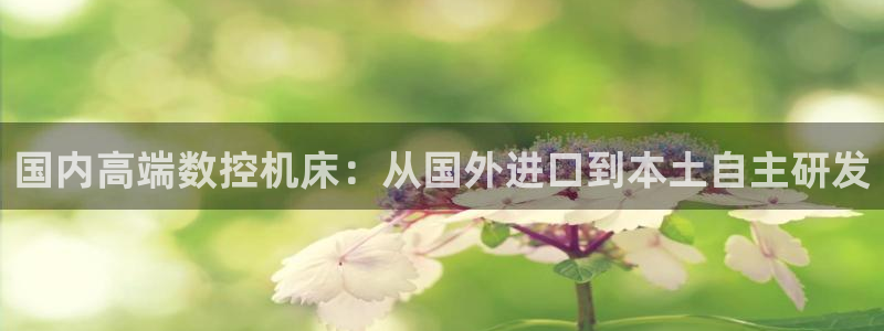 天辰娱乐 . 鱼刺