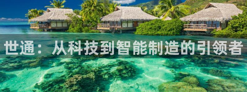 天辰娱乐小妹