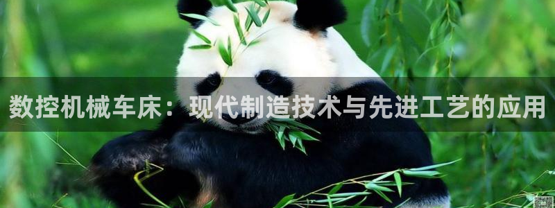 大同天辰娱乐