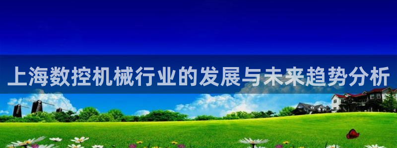 天辰娱乐728567：上海数控机械行业的发展与未来趋势分析