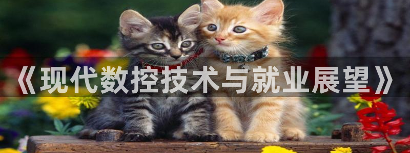 天辰娱乐股票：《现代数控技术与就业展望》