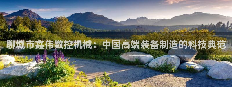 天辰娱乐咋样：聊城市鑫伟数控机械：中国高端装备制造的科技典范