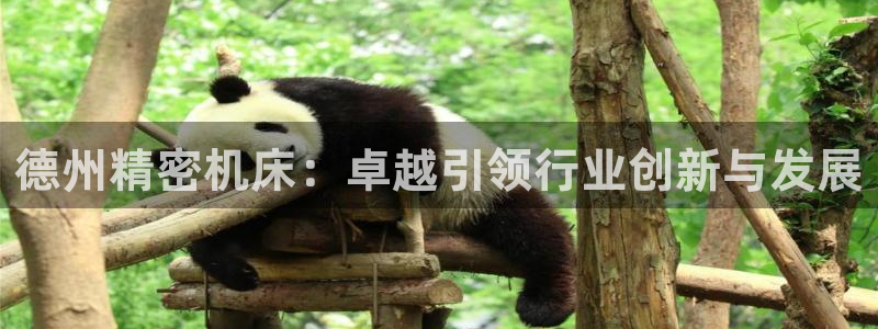 天辰娱乐_ 18113