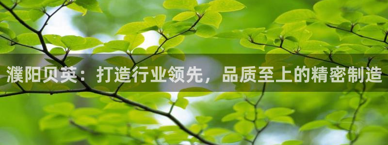 天辰辰娱乐代理:濮阳贝英:打造行业领先,品质至上的精密制造
