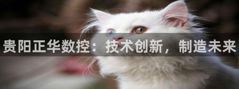 天辰2娱乐:贵阳正华数控:技术创新,制造未来