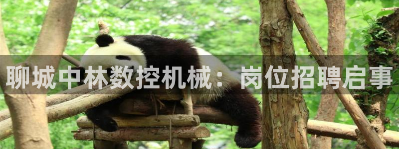 天辰娱乐-18113：聊城中林数控机械：岗位招聘启事