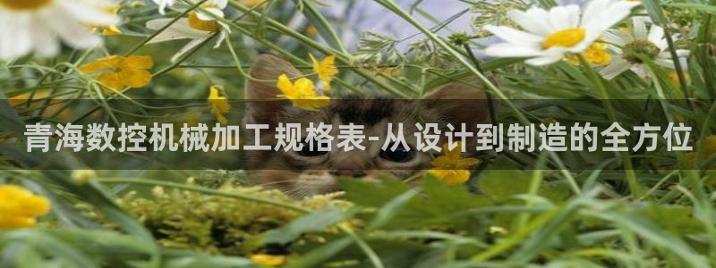 天辰娱乐 . 鱼刺