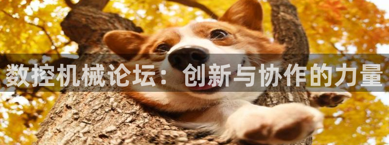 天辰娱乐官网：数控机械论坛：创新与协作的力量