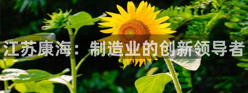 天辰天富娱乐登录