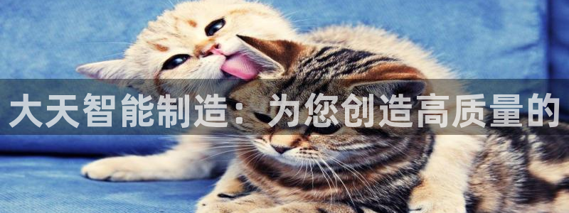 北京天辰娱乐