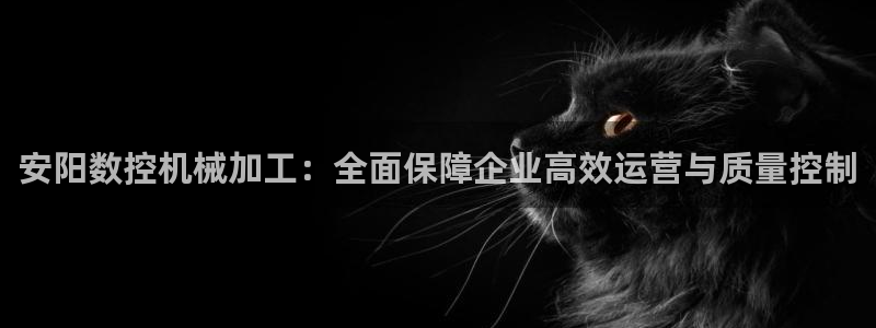 天辰娱乐885544