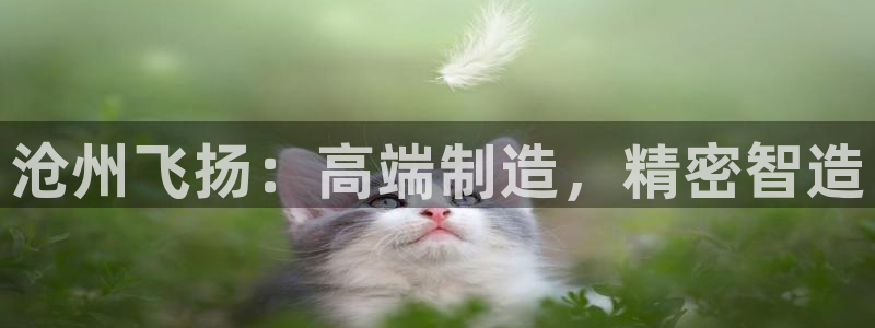 天辰娱乐平台娱乐注册