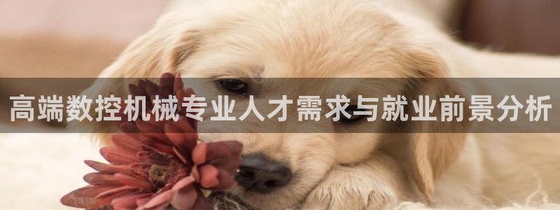 天辰娱乐平台靠谱么