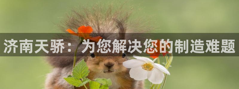 天辰娱乐直属