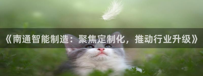 天辰娱乐的网址首页