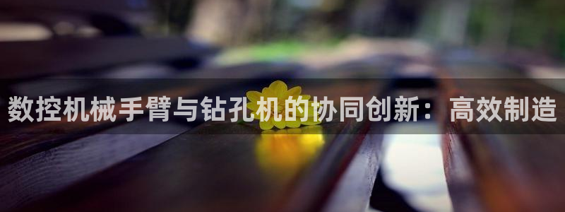 天辰娱乐海洋
