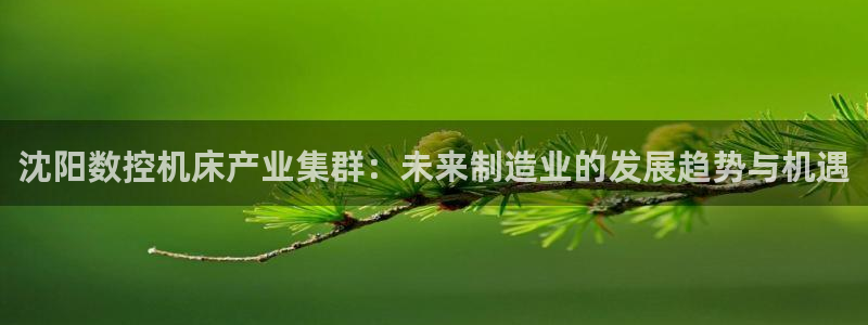 天辰娱乐官网平台入口：沈阳数控机床产业集群：未来制造业的发展趋势与机遇