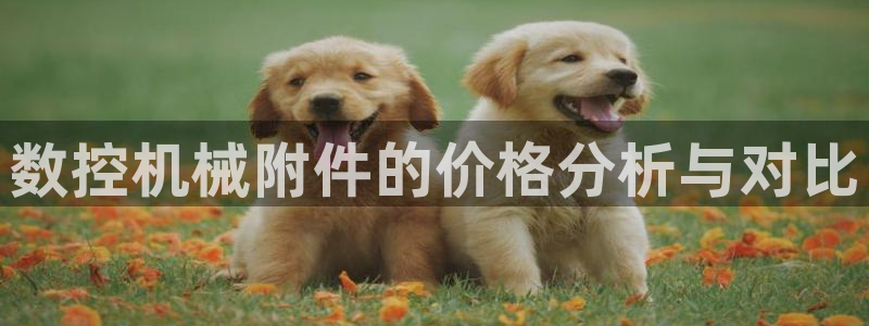 天辰娱乐 39974：数控机械附件的价格分析与对比
