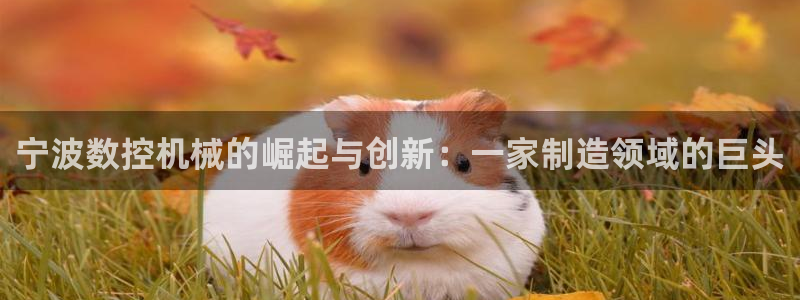 天辰娱乐官：宁波数控机械的崛起与创新：一家制造领域的巨头