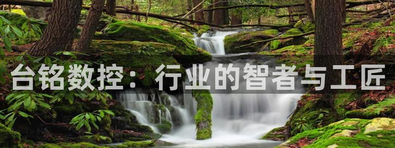 天辰娱乐675138