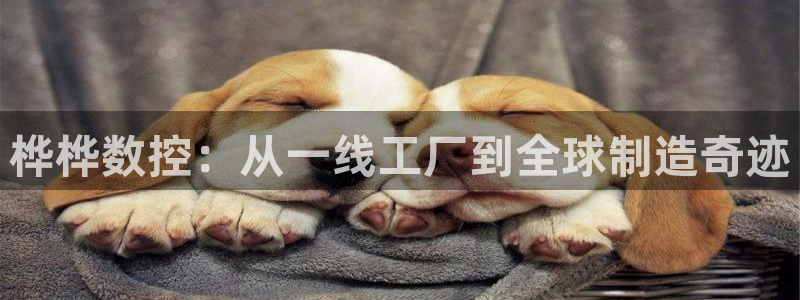天辰娱乐输了