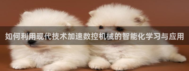 天辰娱乐网址娱乐游戏