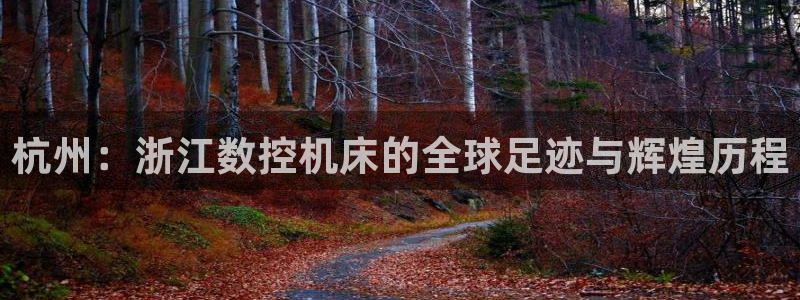 天辰(娱乐注册:杭州:浙江数控机床的全球足迹与辉煌历程