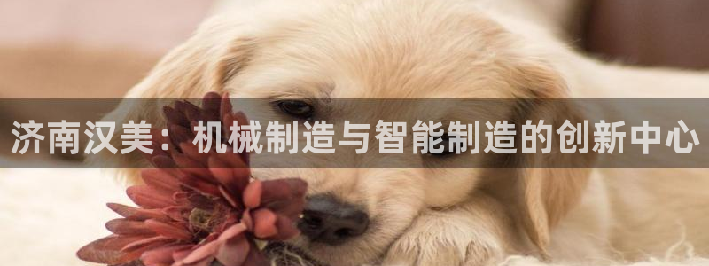 天辰娱乐APP下载