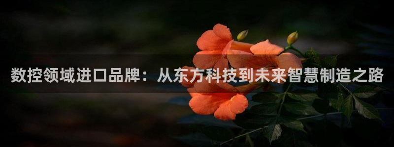 天辰娱乐下载链接
