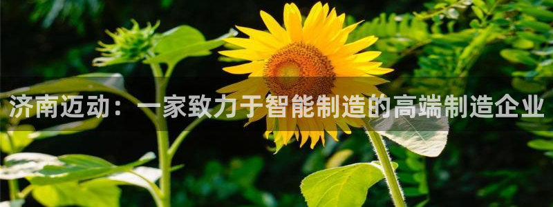 天辰娱乐官方登录下载