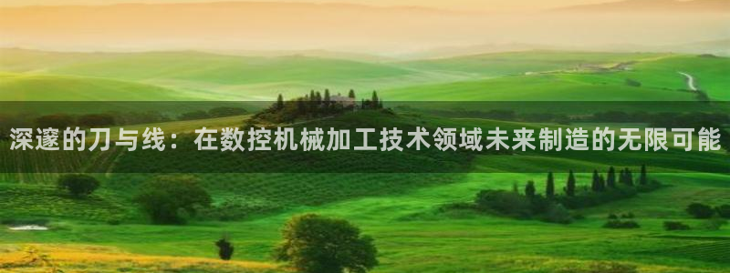 天辰娱乐1956