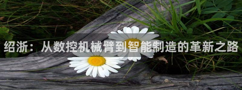 天辰娱乐黑人
